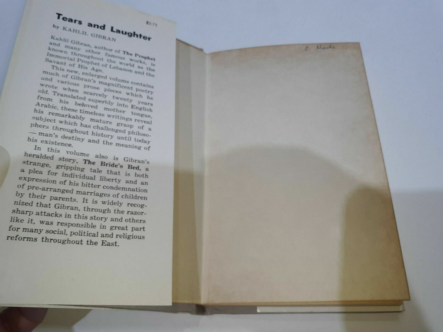 Image #8