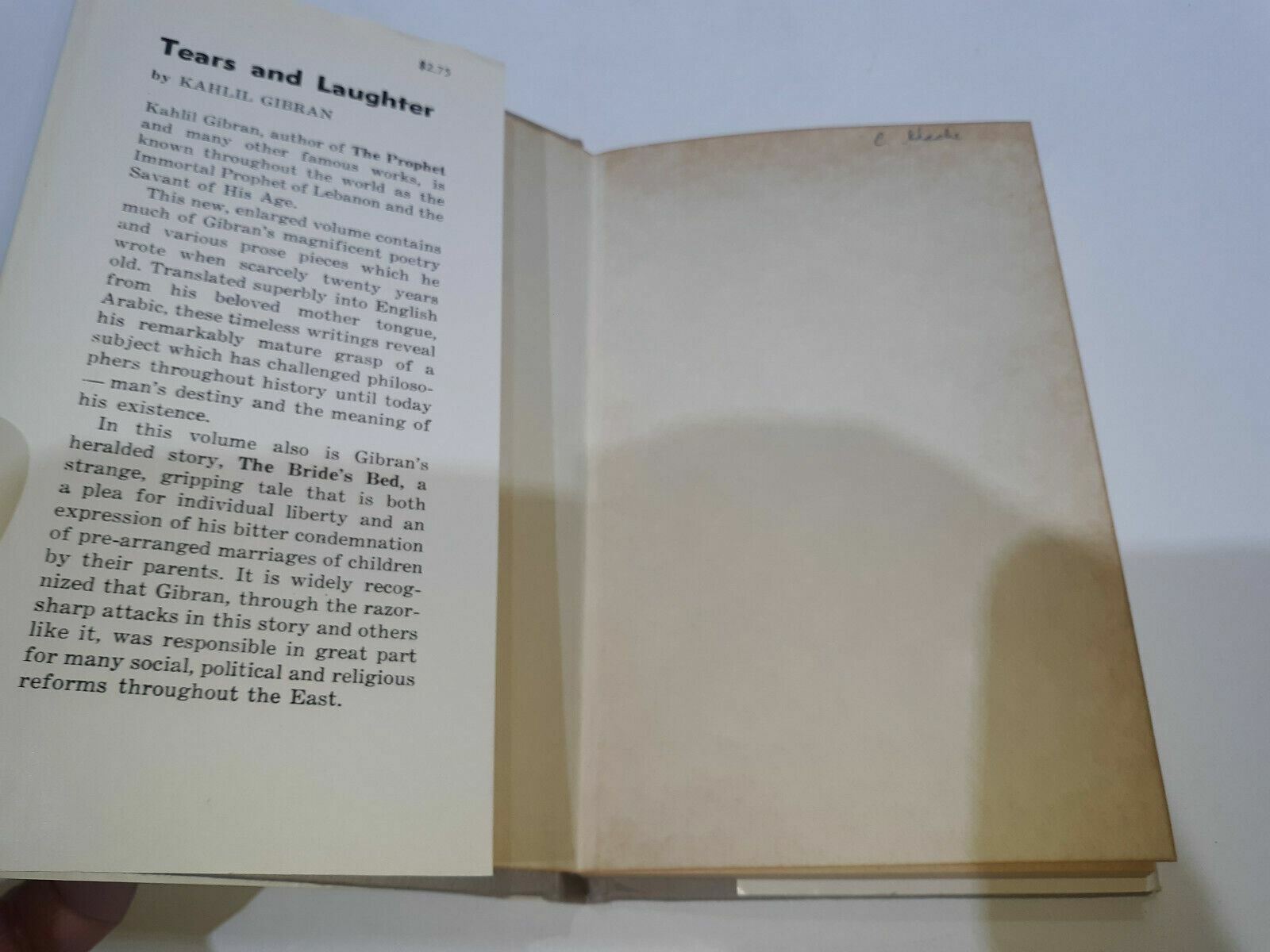 Image #8