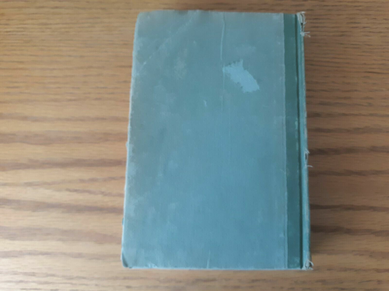 Image #6