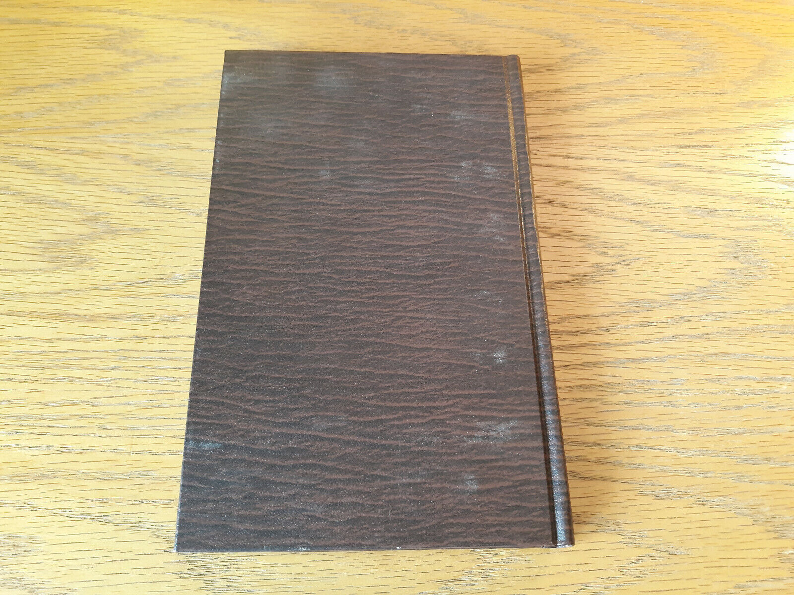 Image #6