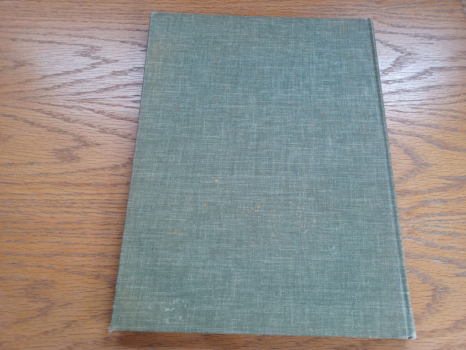 Image #6