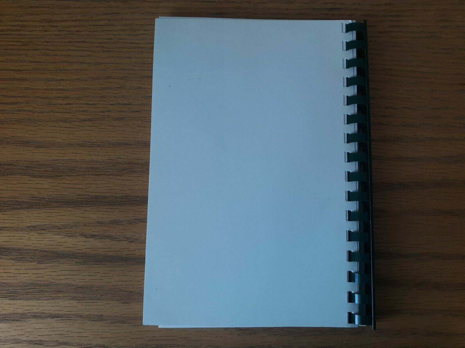 Image #6