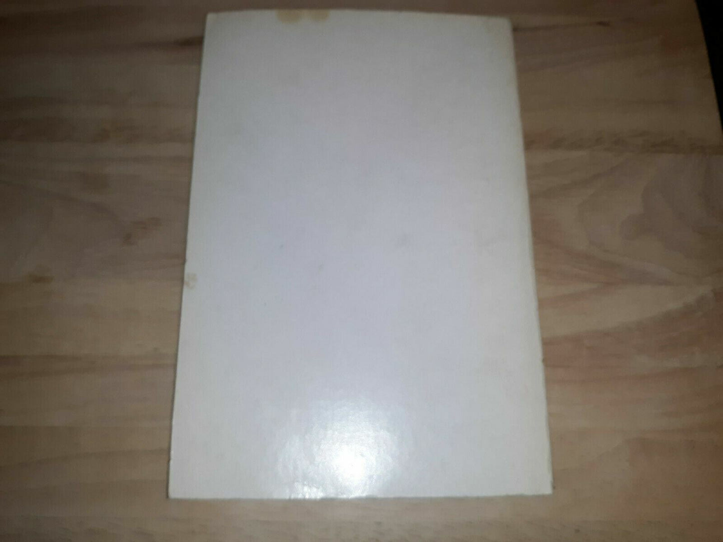 Image #6