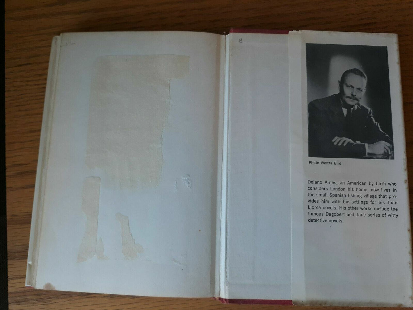 Image #10