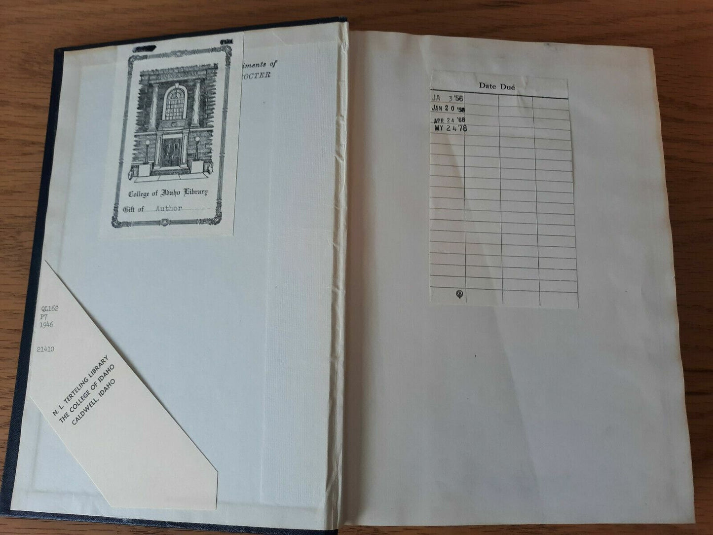 Image #7