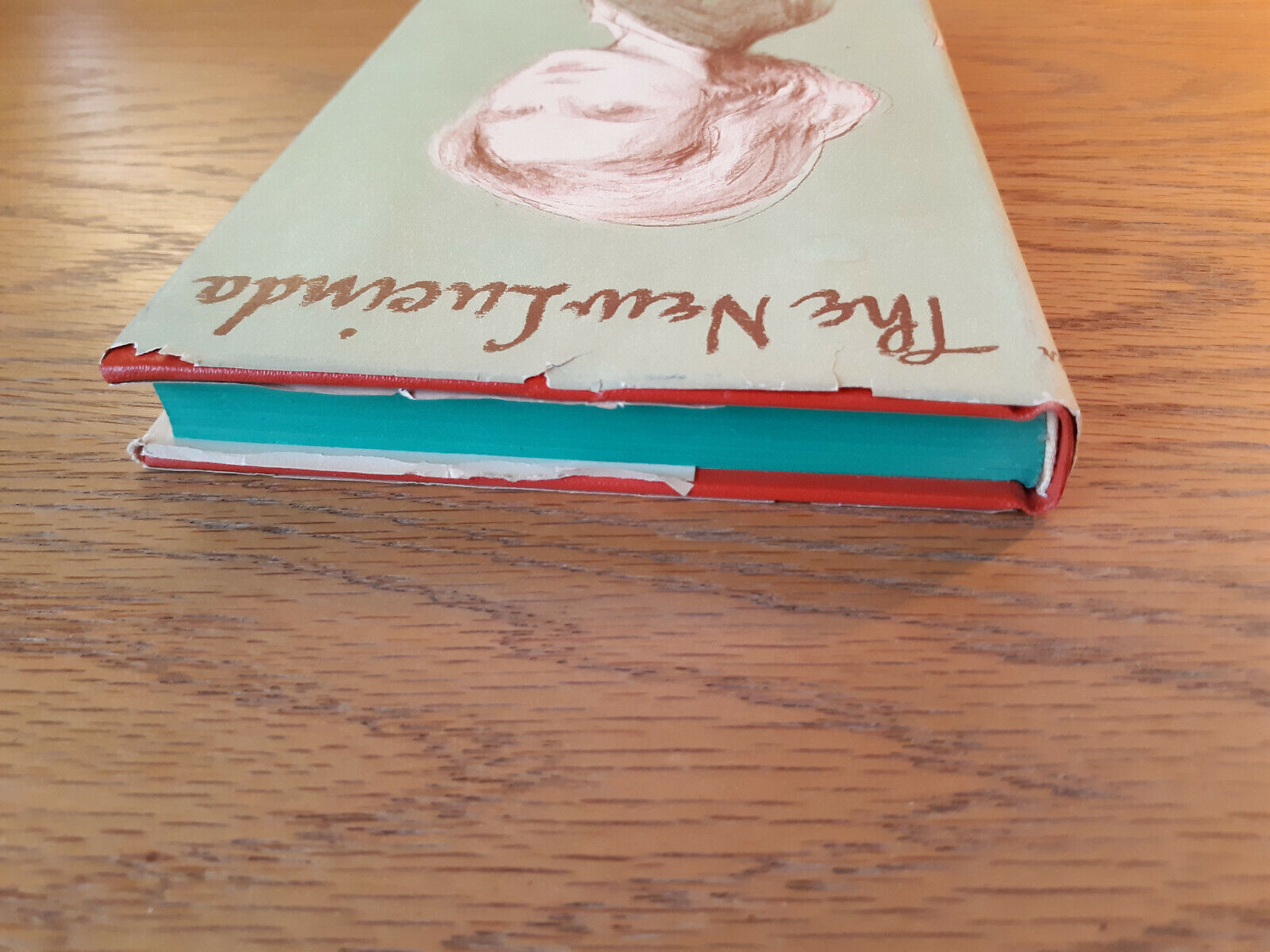 Image #4