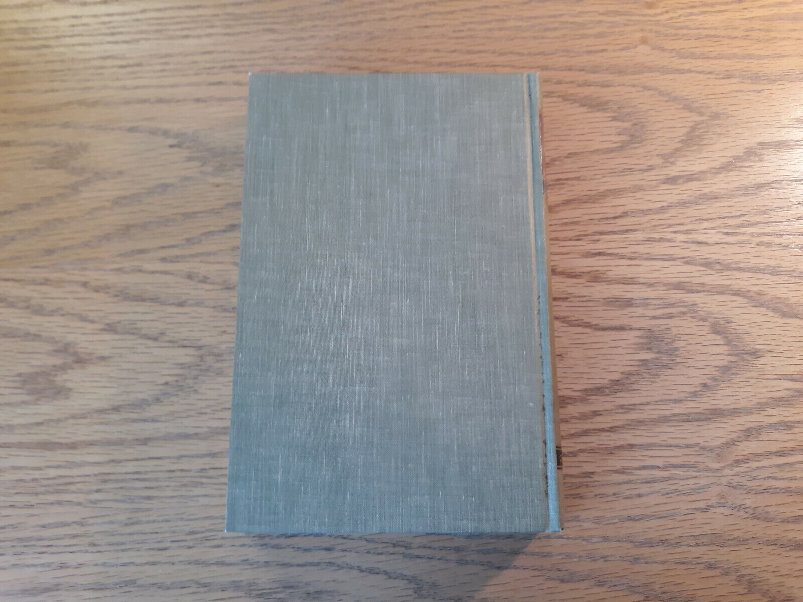 Image #6