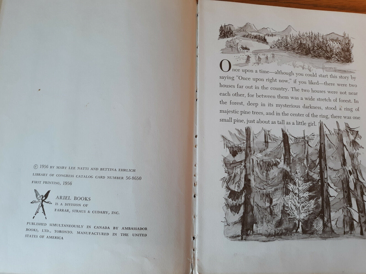 Image #9