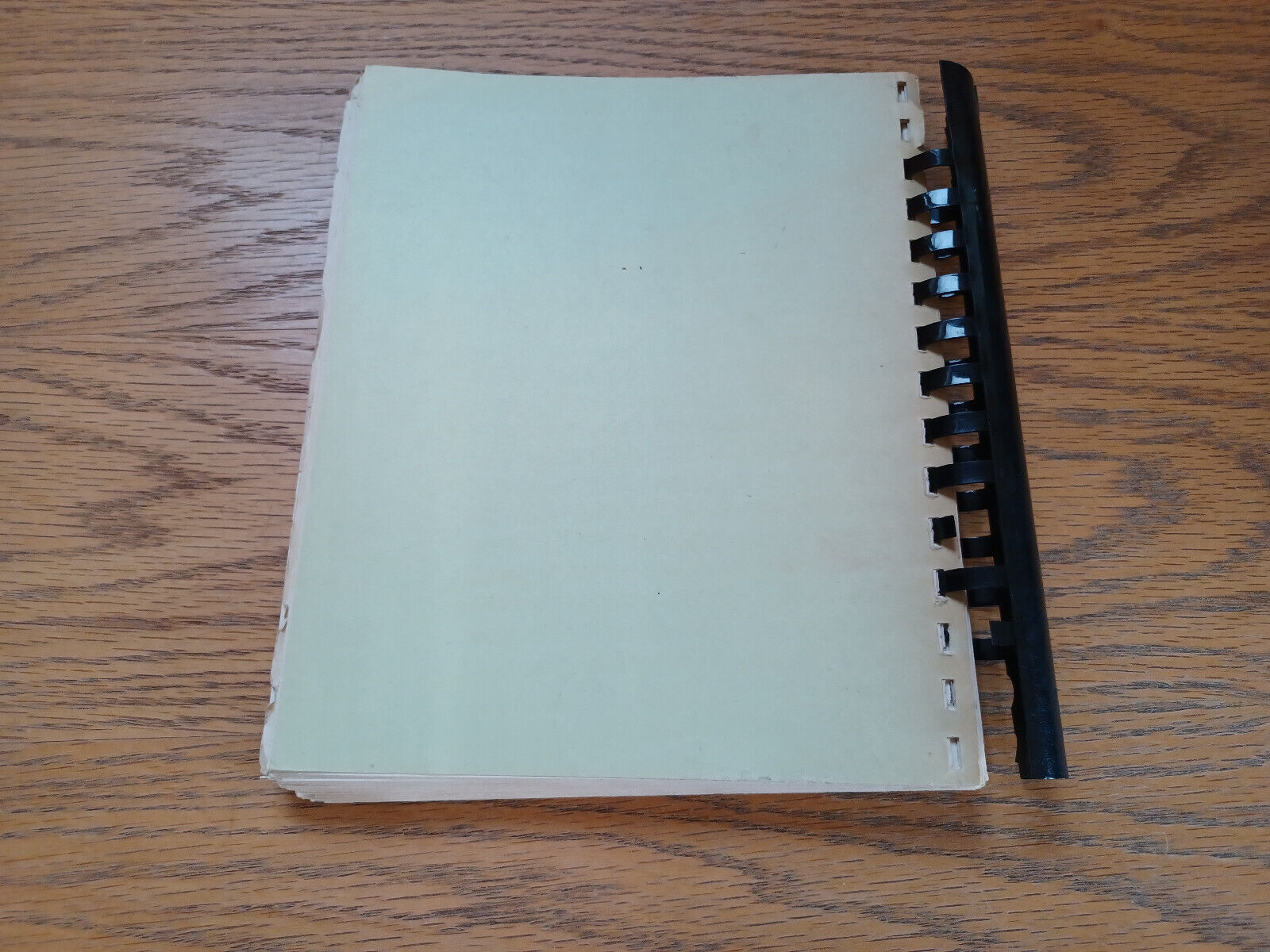Image #6
