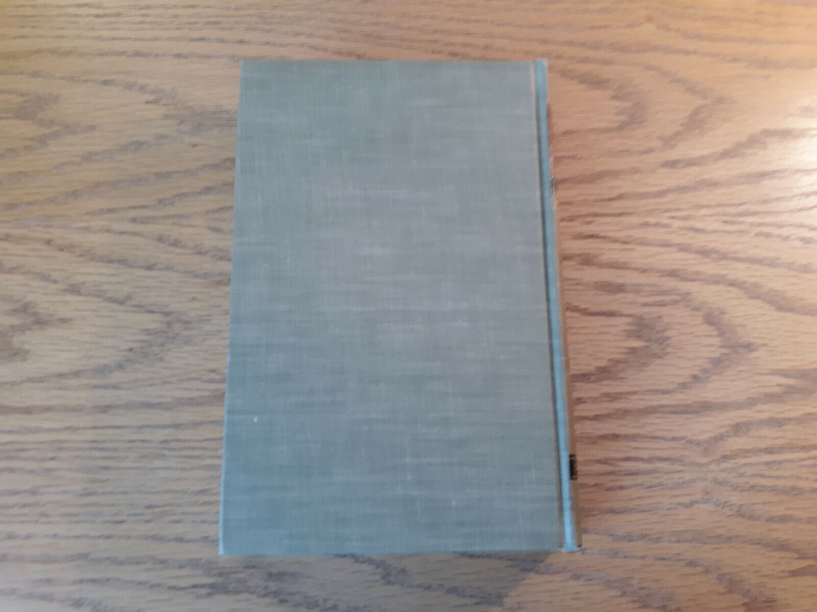 Image #6
