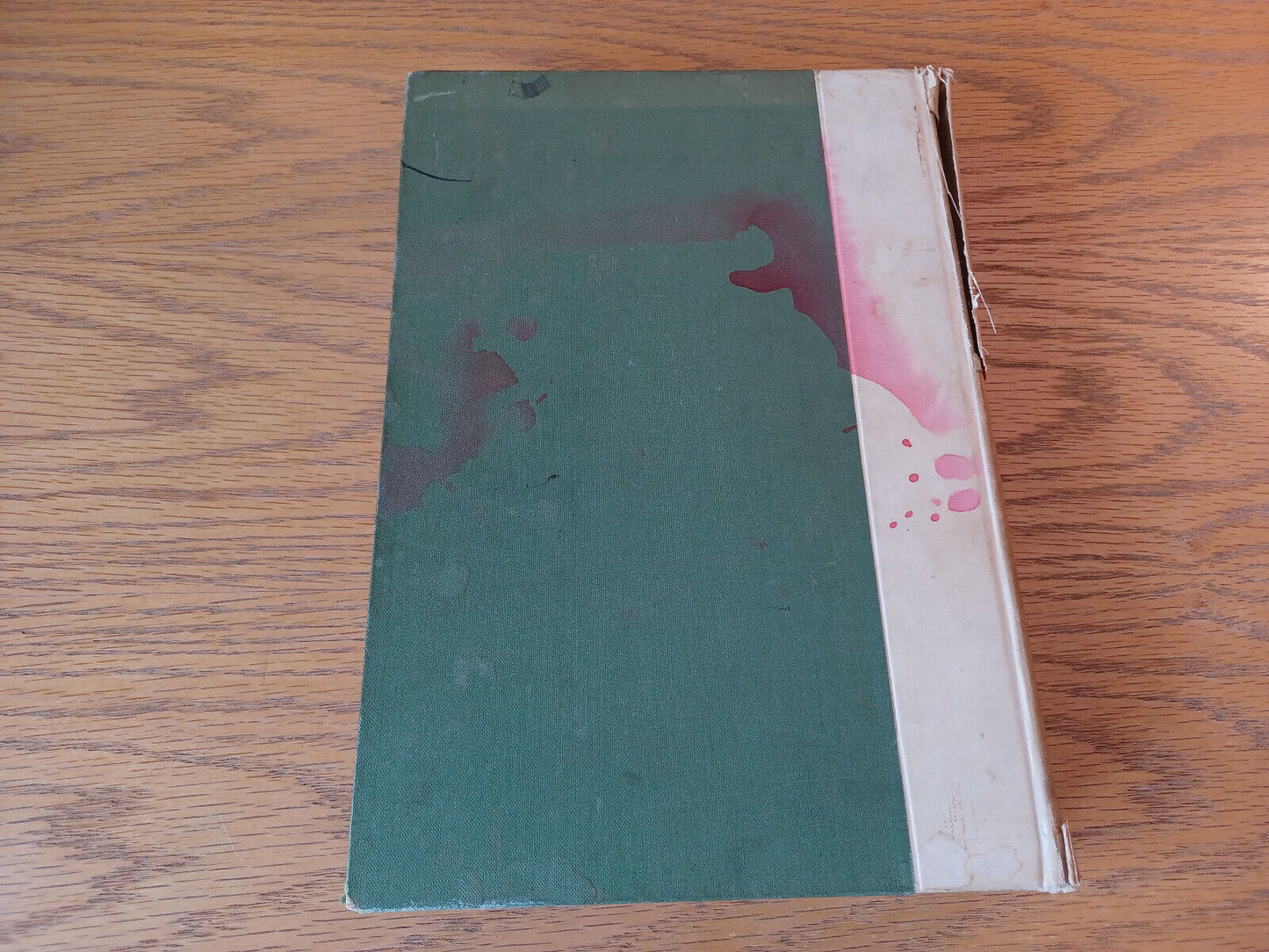 Image #6