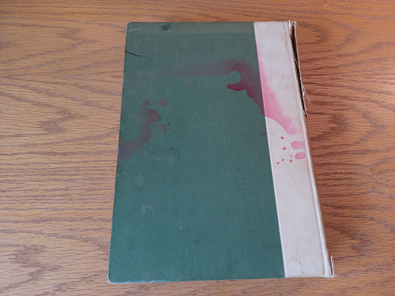 Image #6