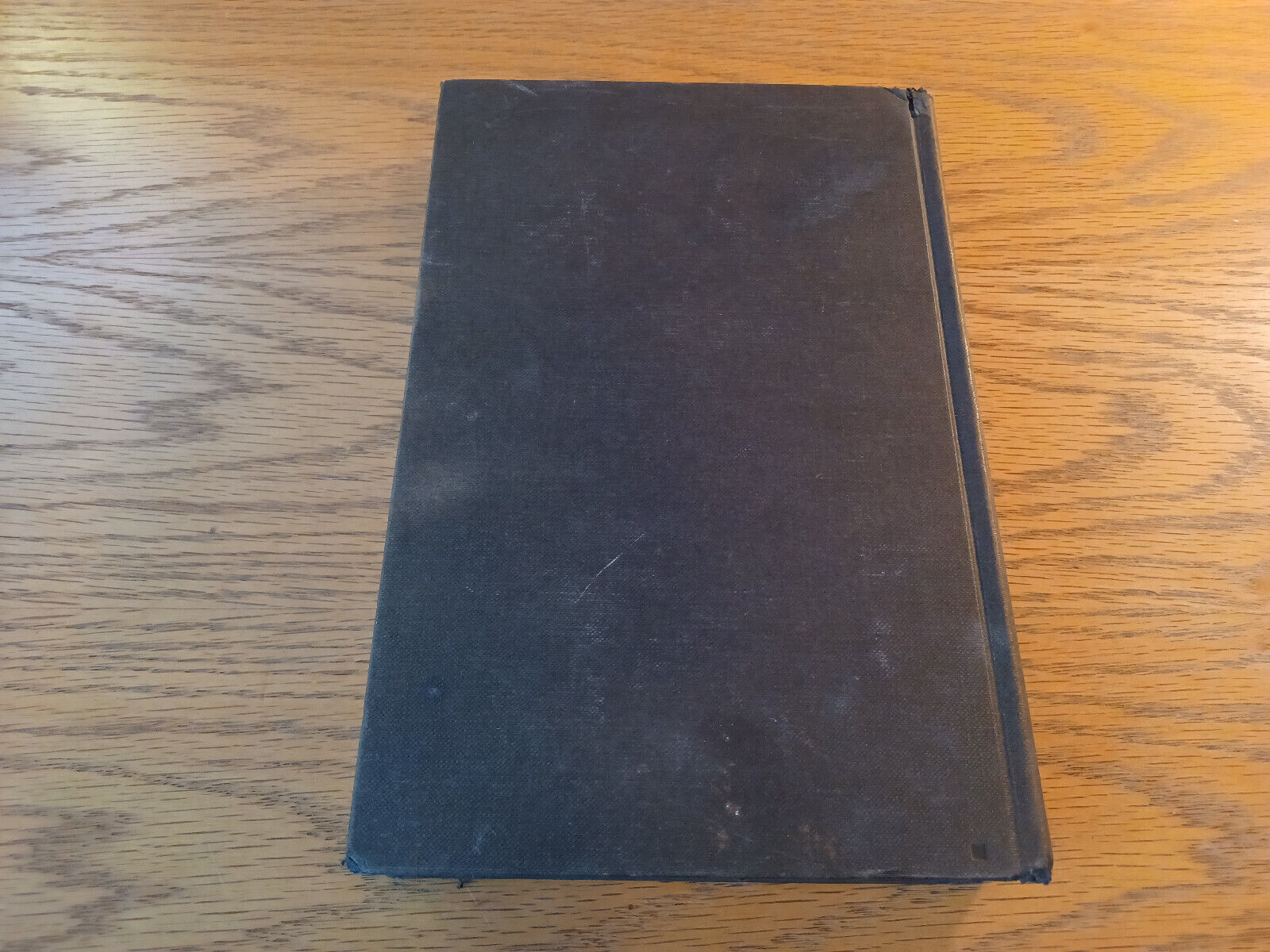 Image #6