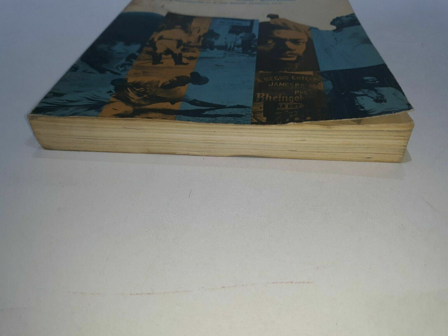Image #2