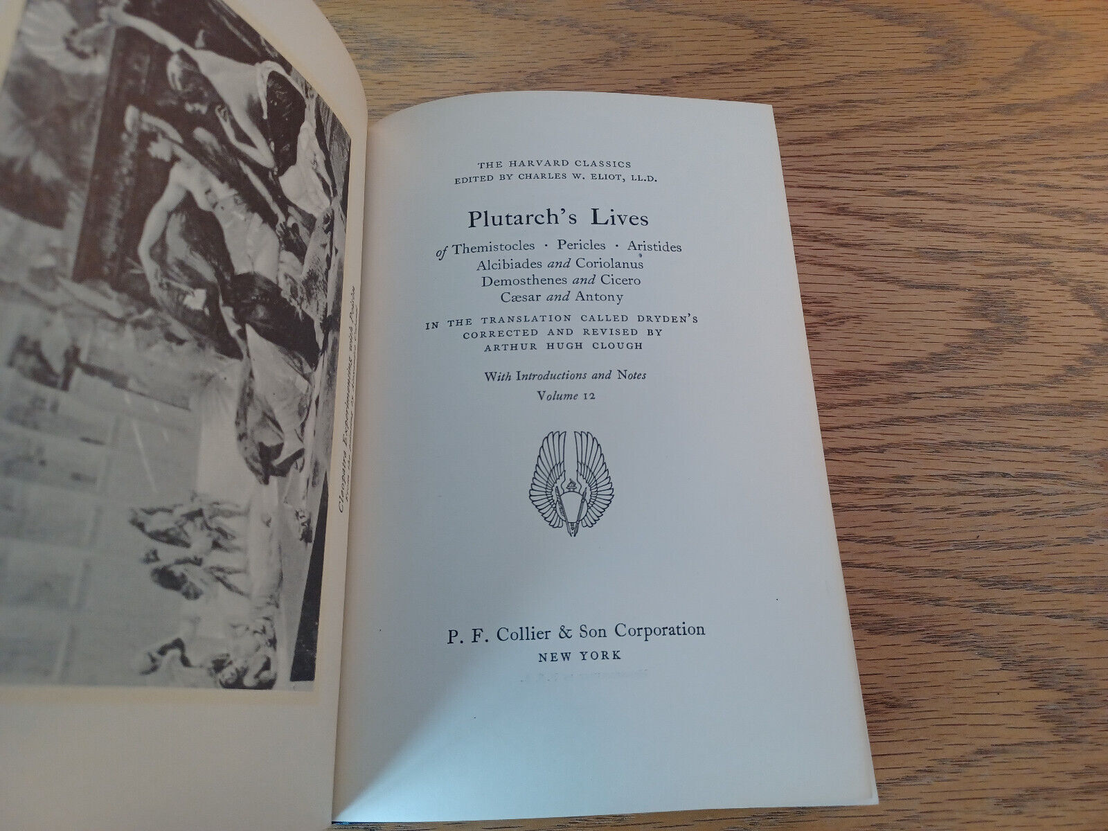 Image #8