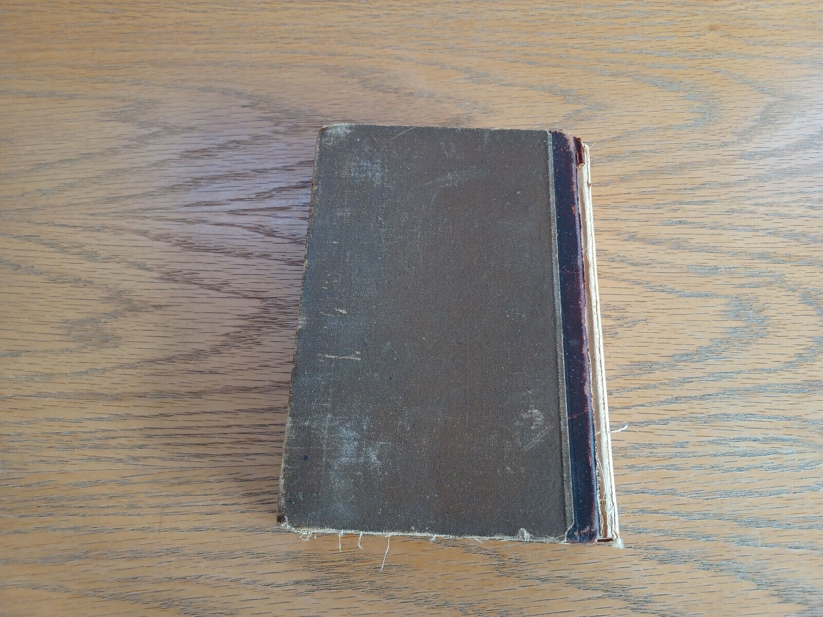 Image #6
