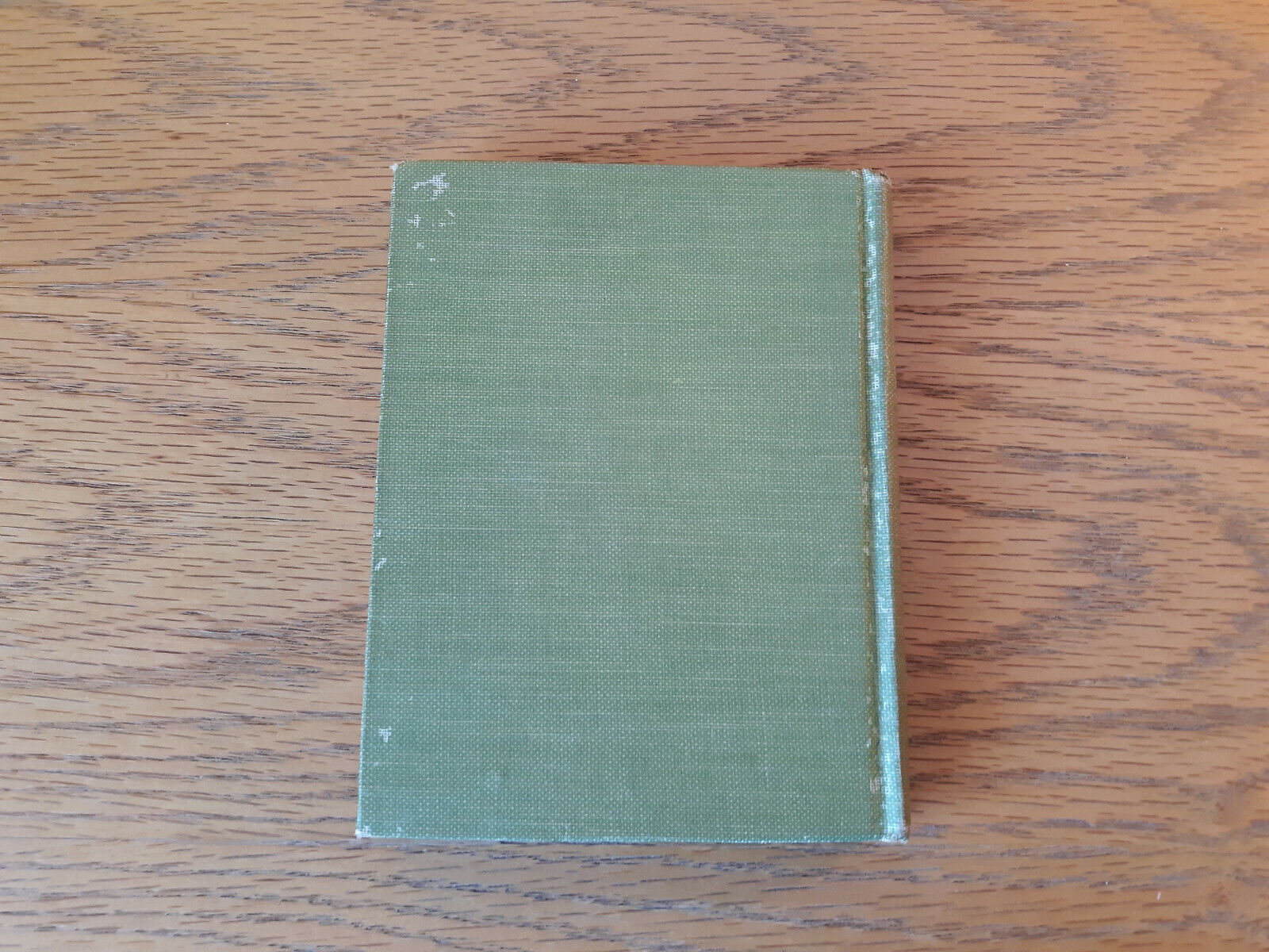 Image #6