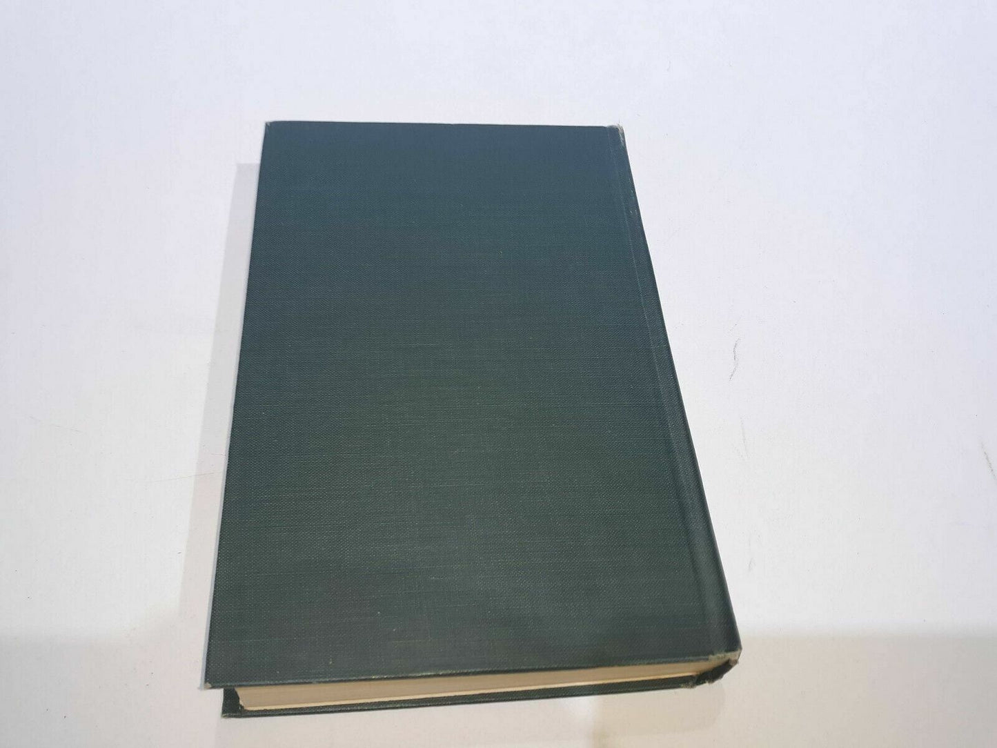 Image #7
