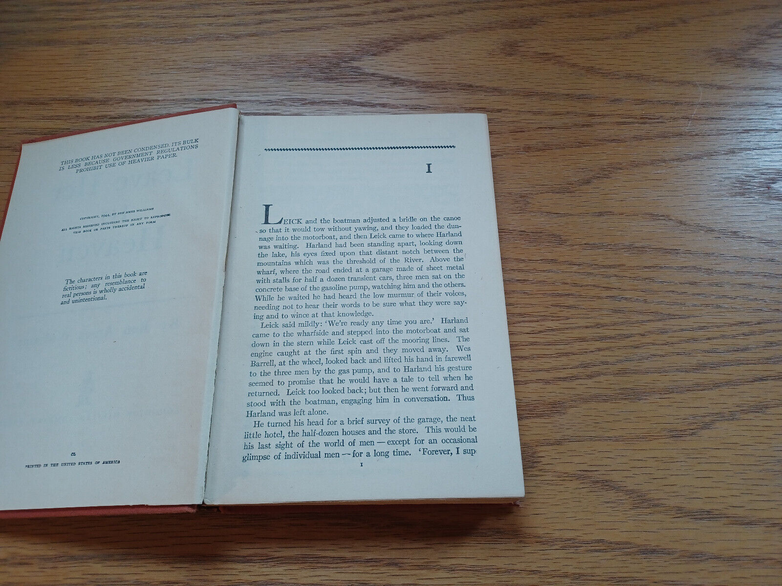 Image #8