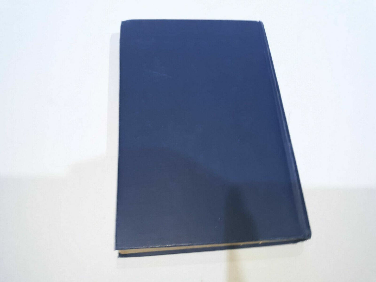 Image #7