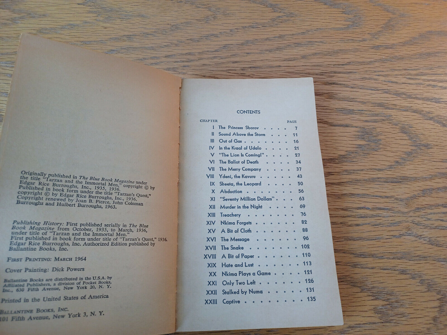 Image #8