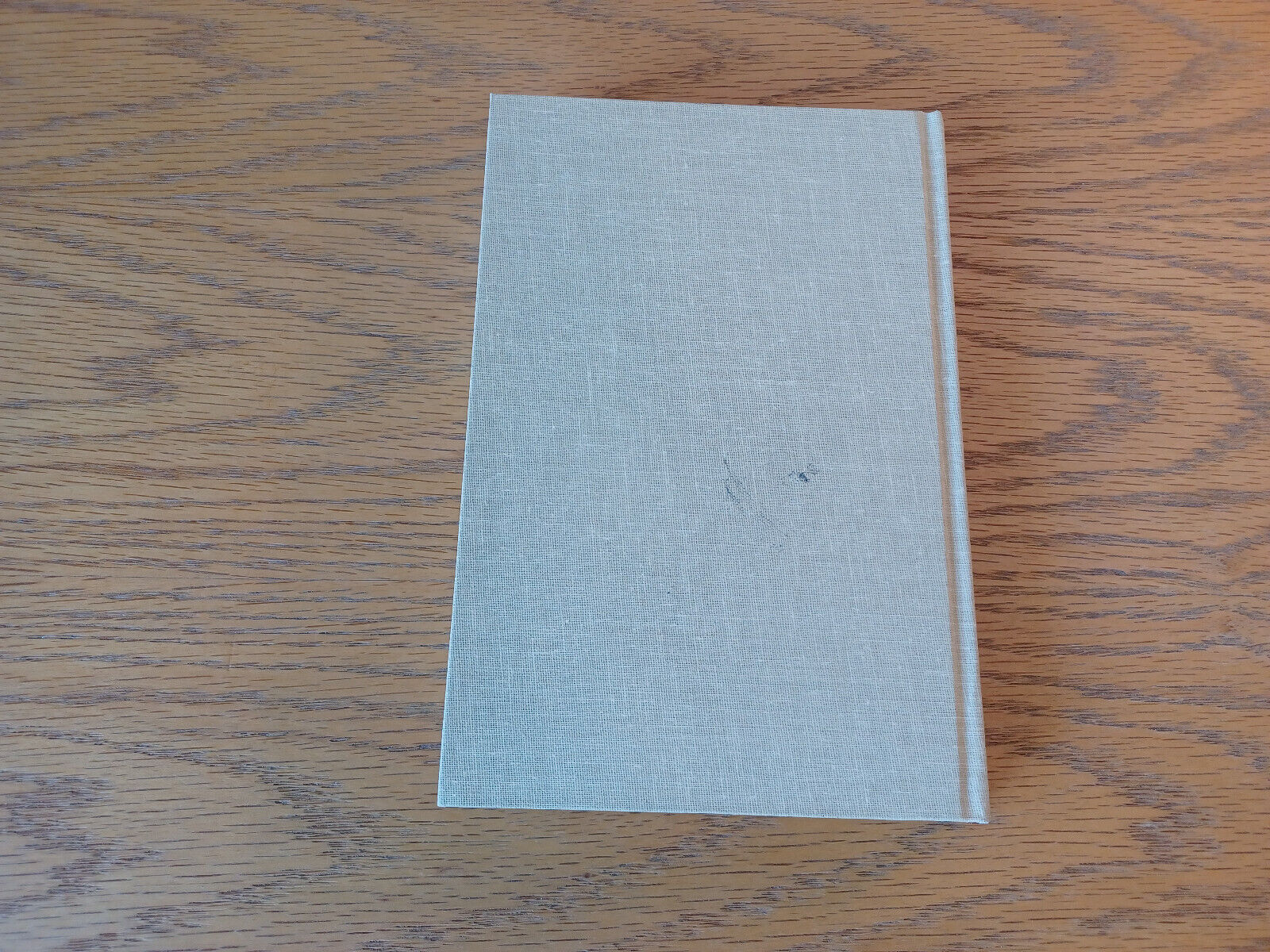 Image #6