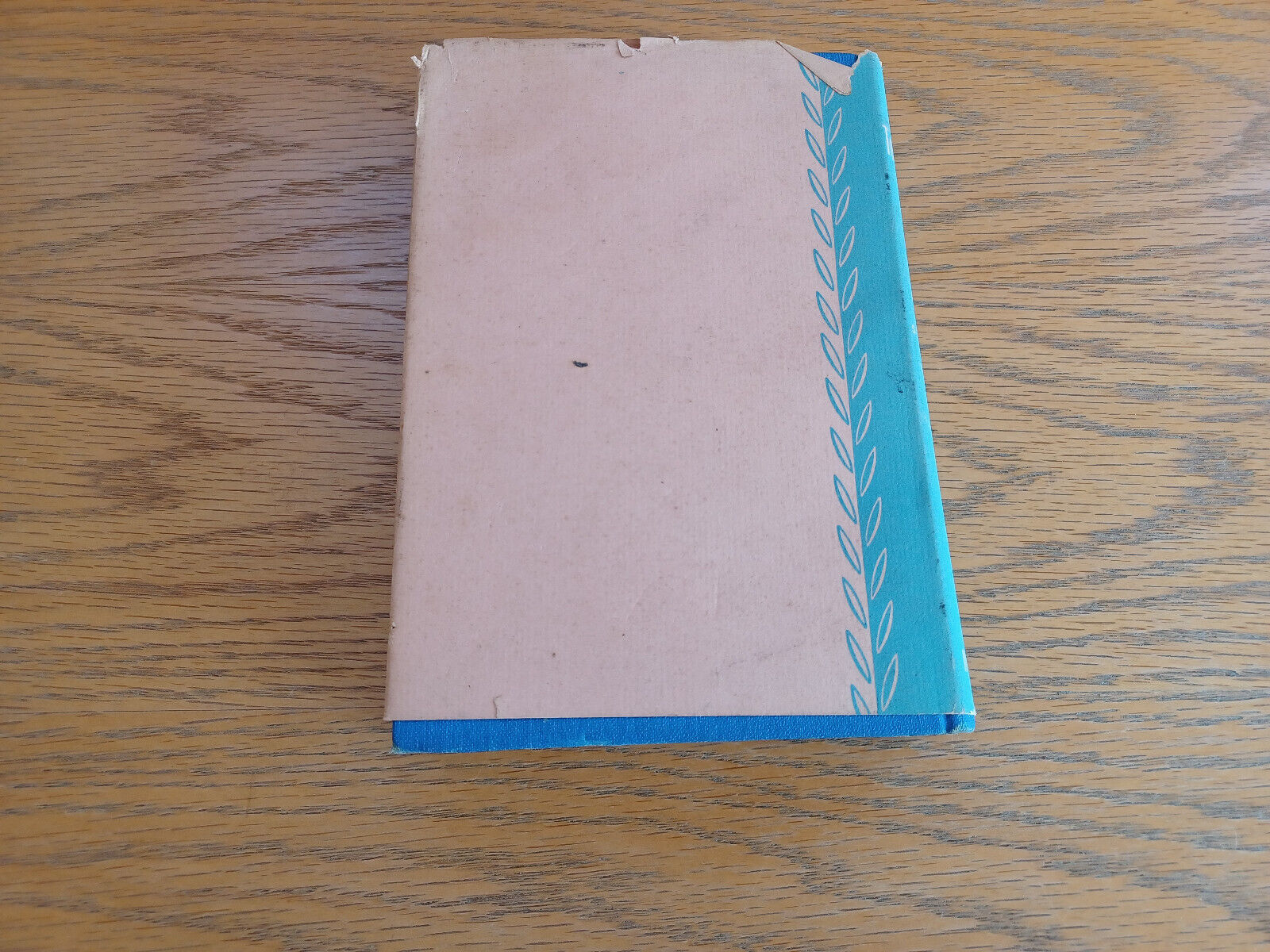Image #6
