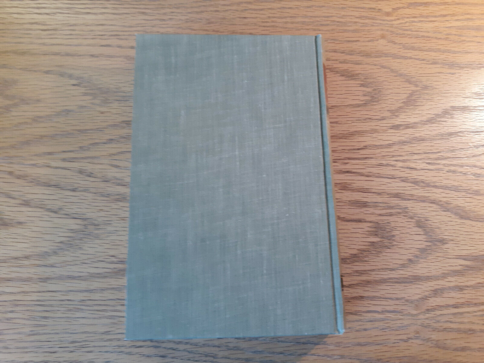 Image #6