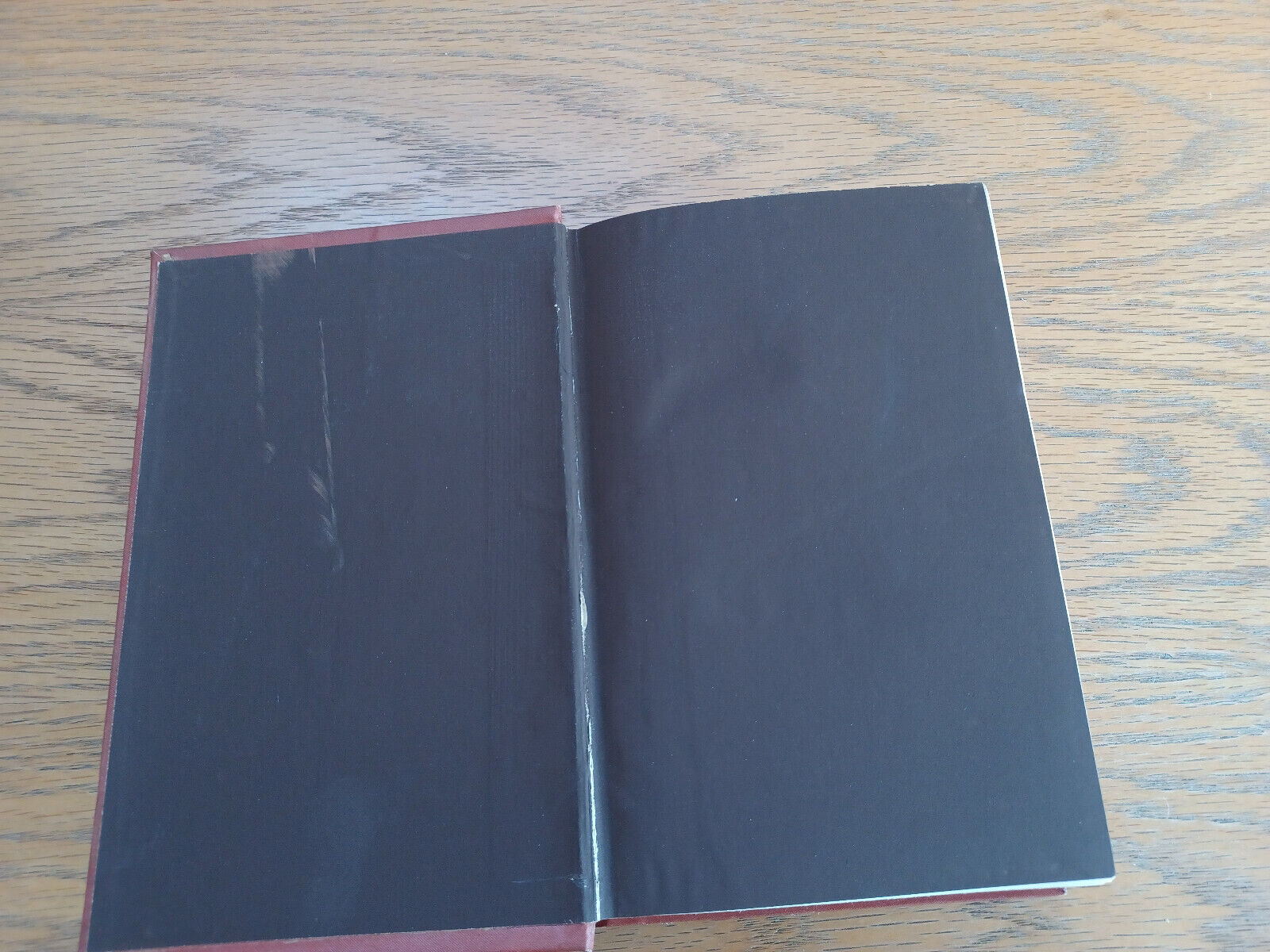 Image #7
