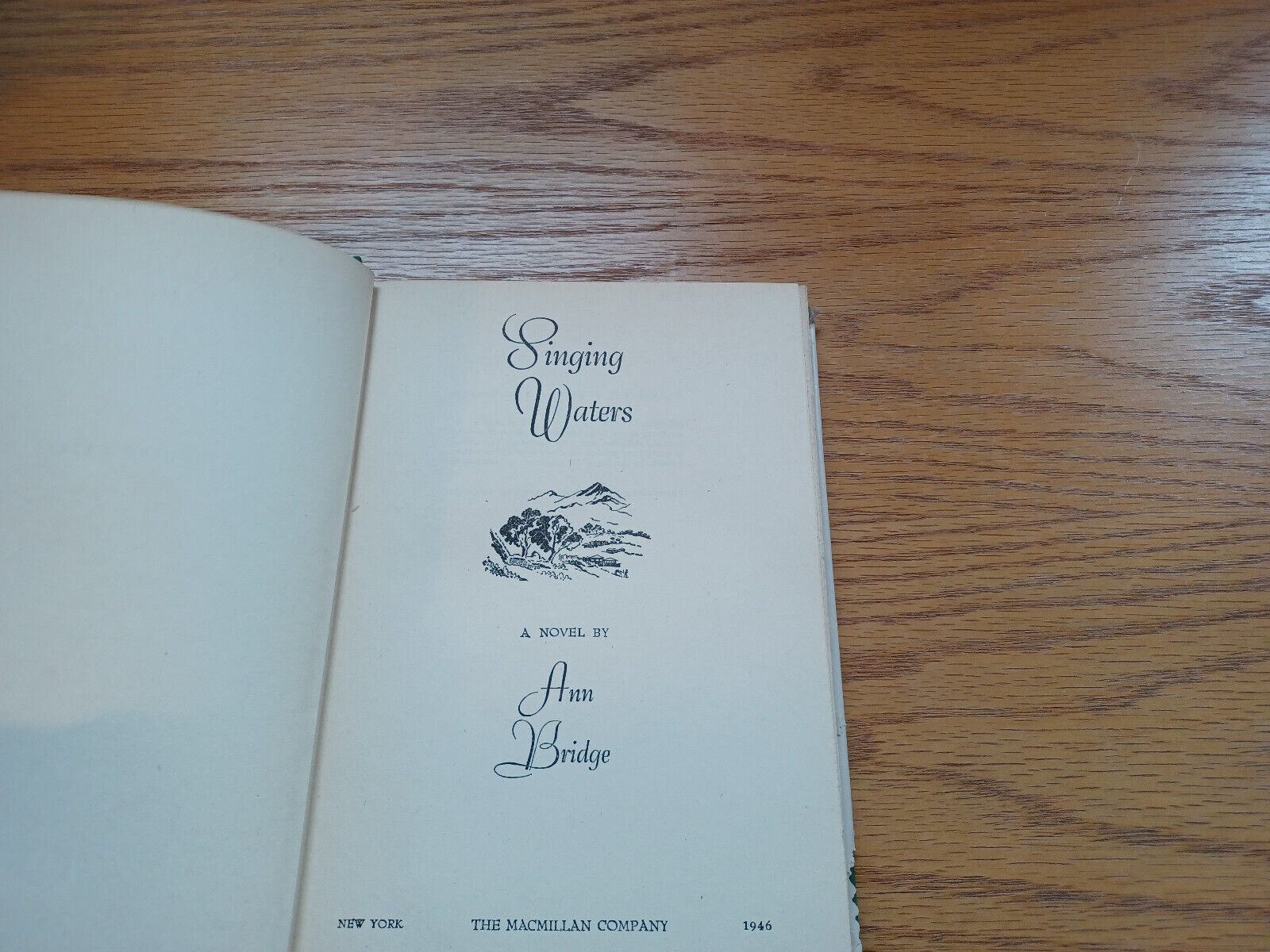 Image #8