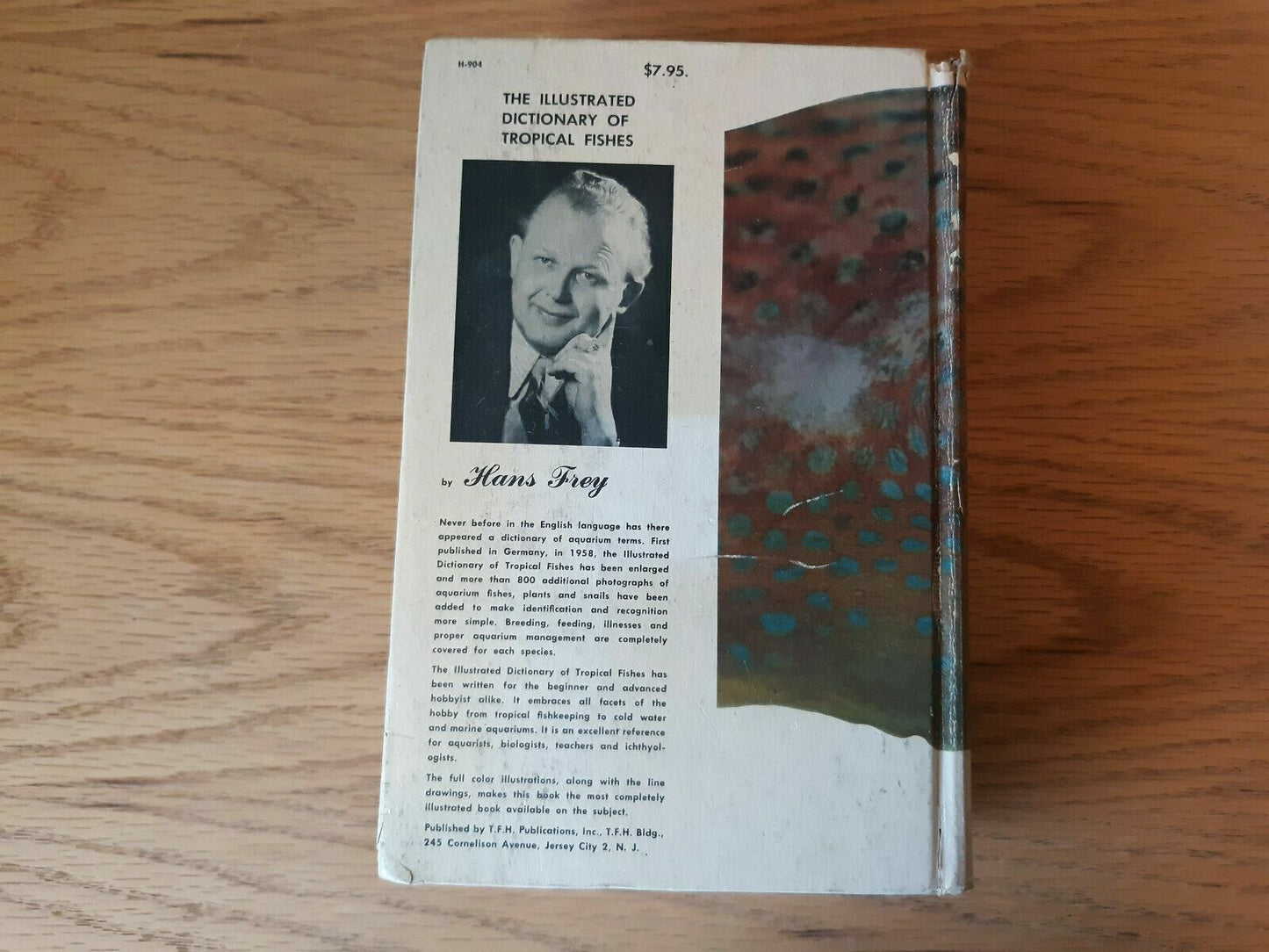Image #6