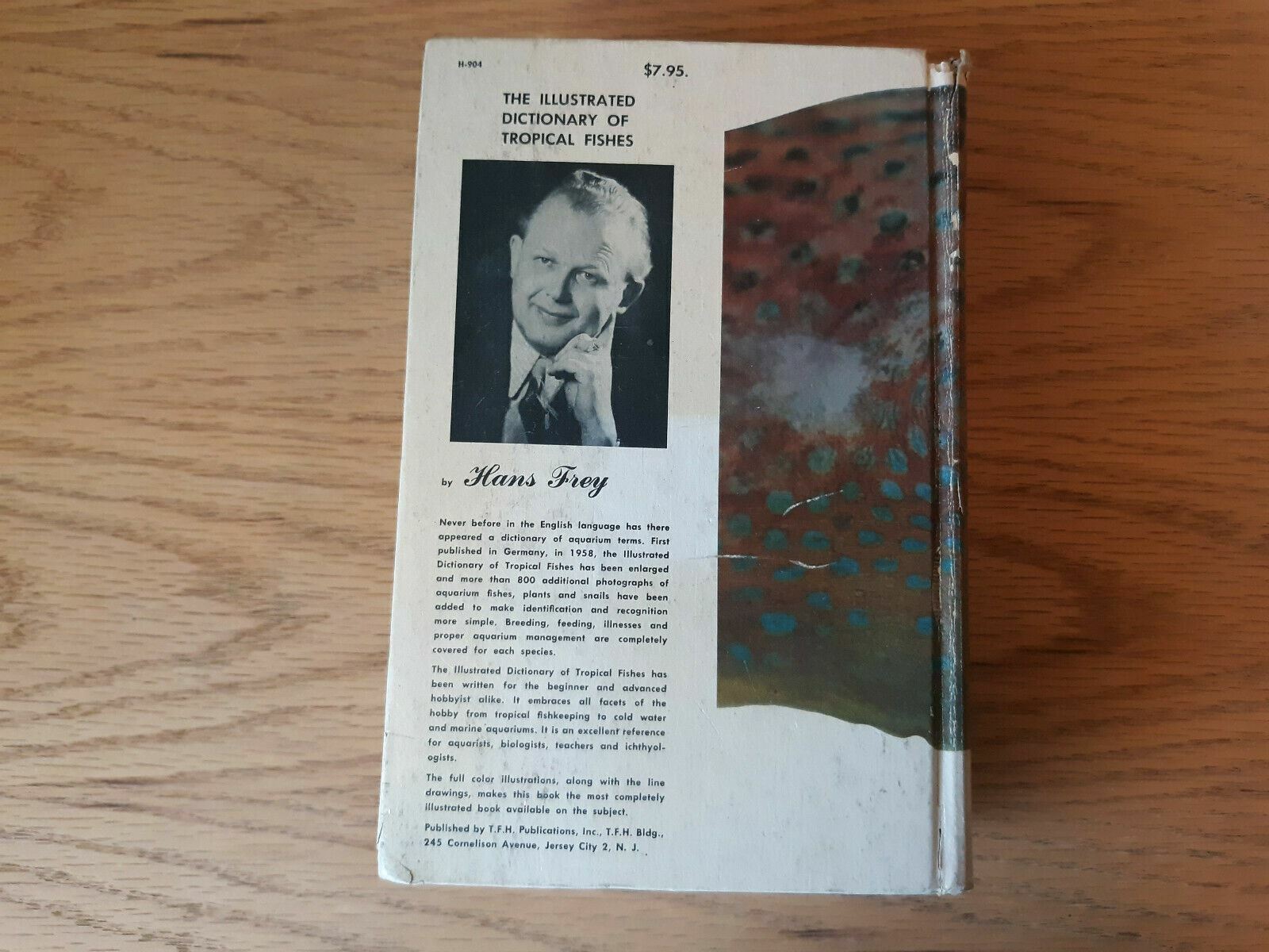 Image #6
