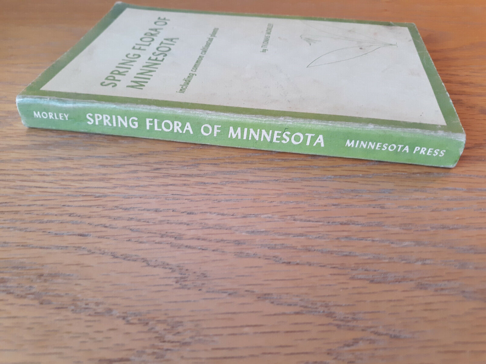Image #5