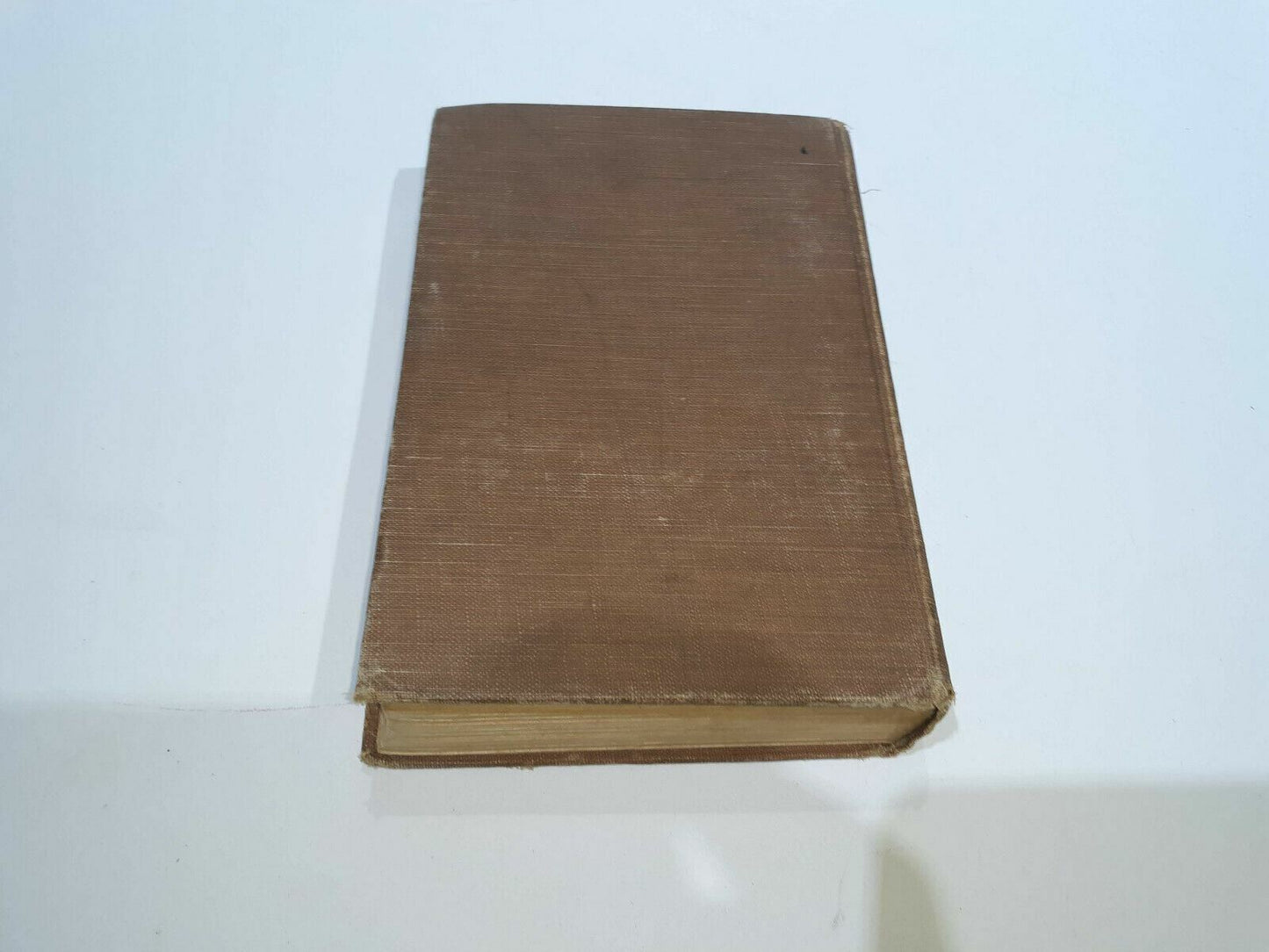 Image #7