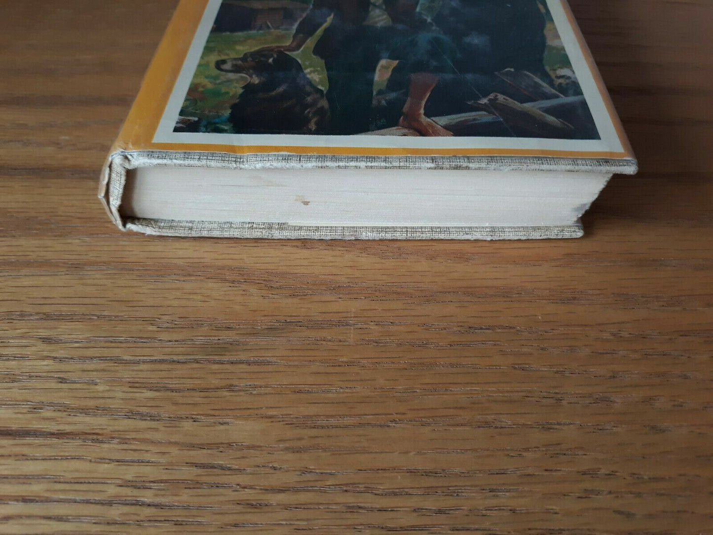 Image #2