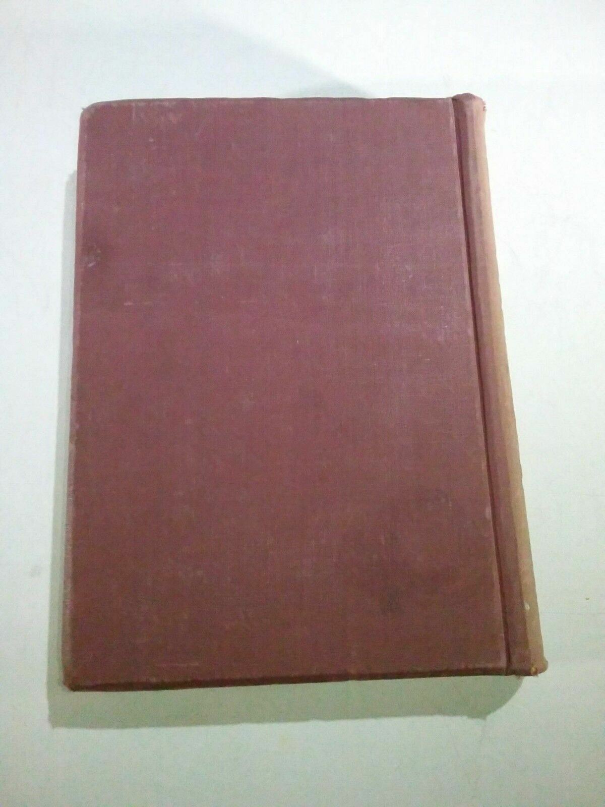 Image #7