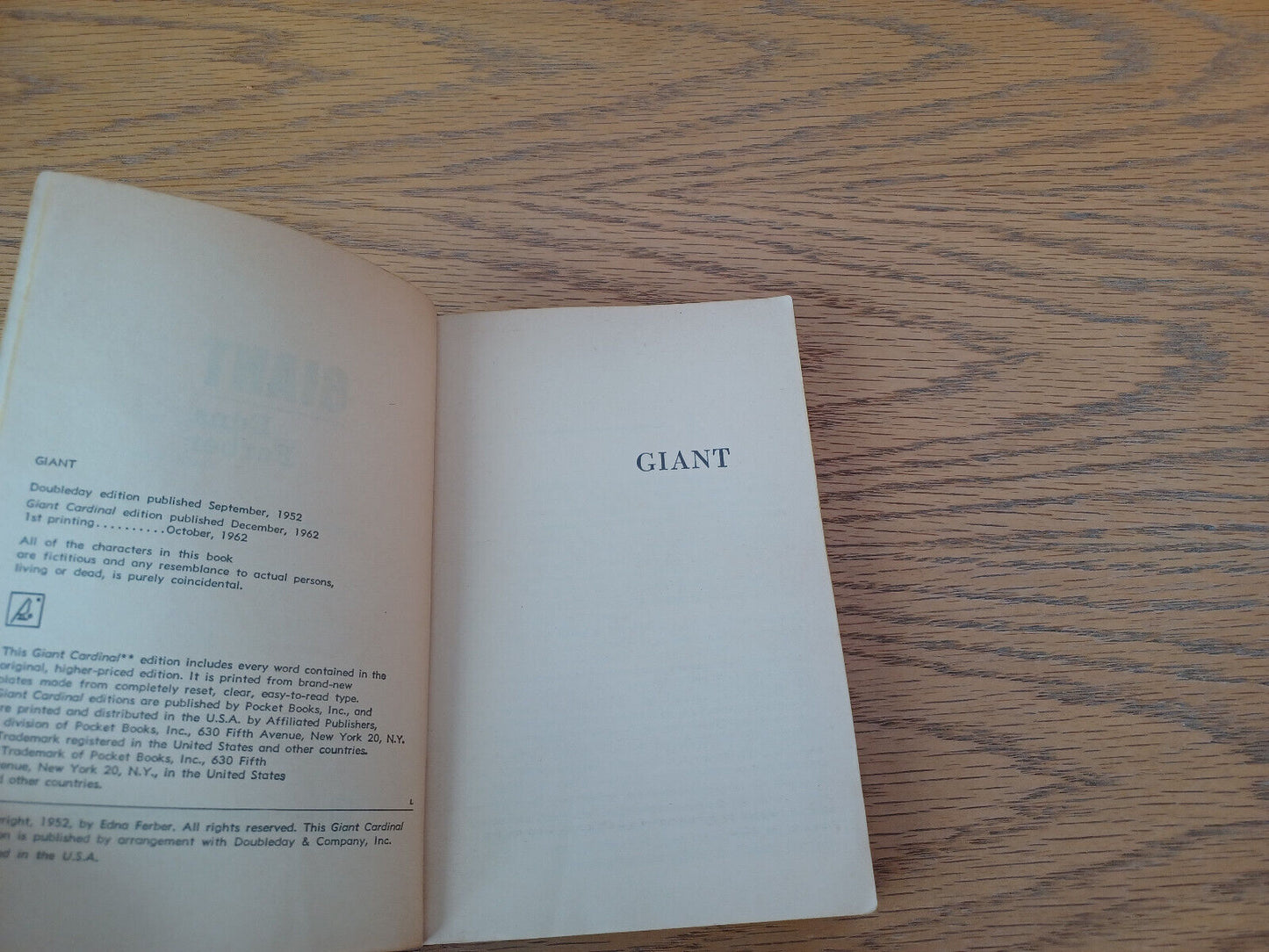 Image #8