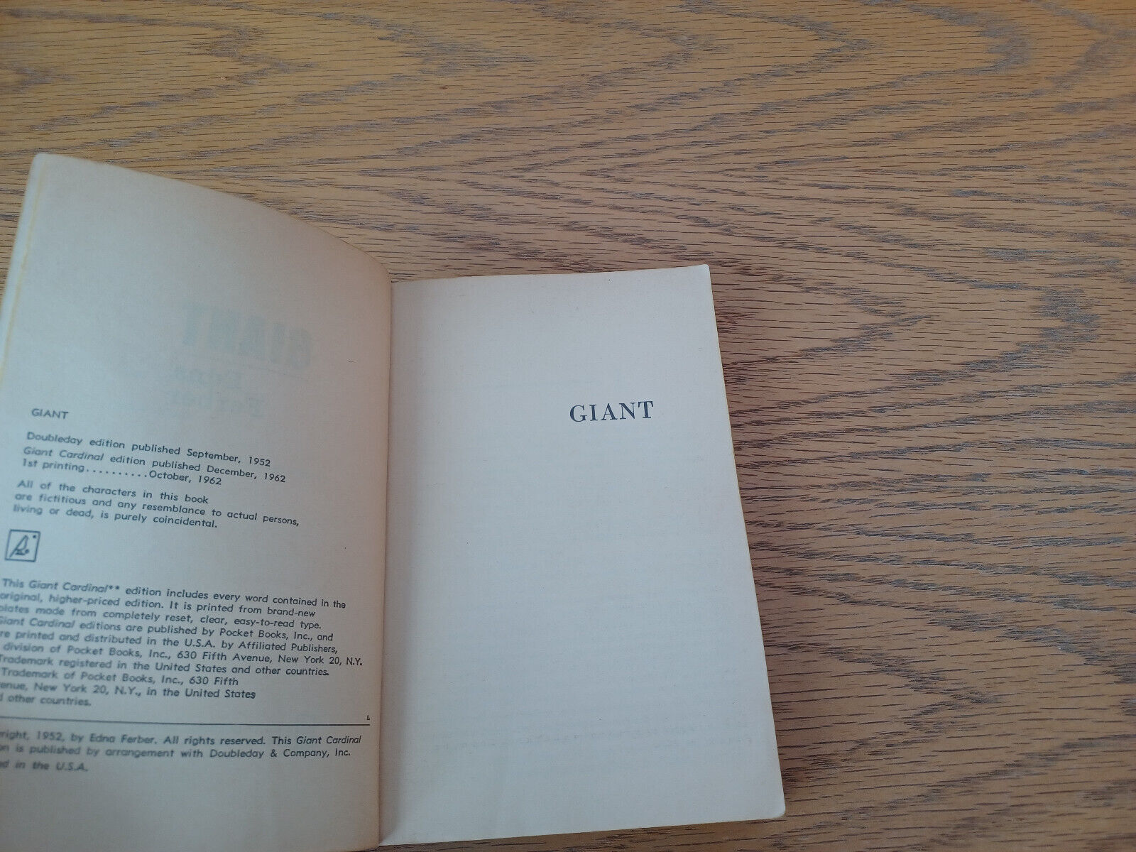 Image #8