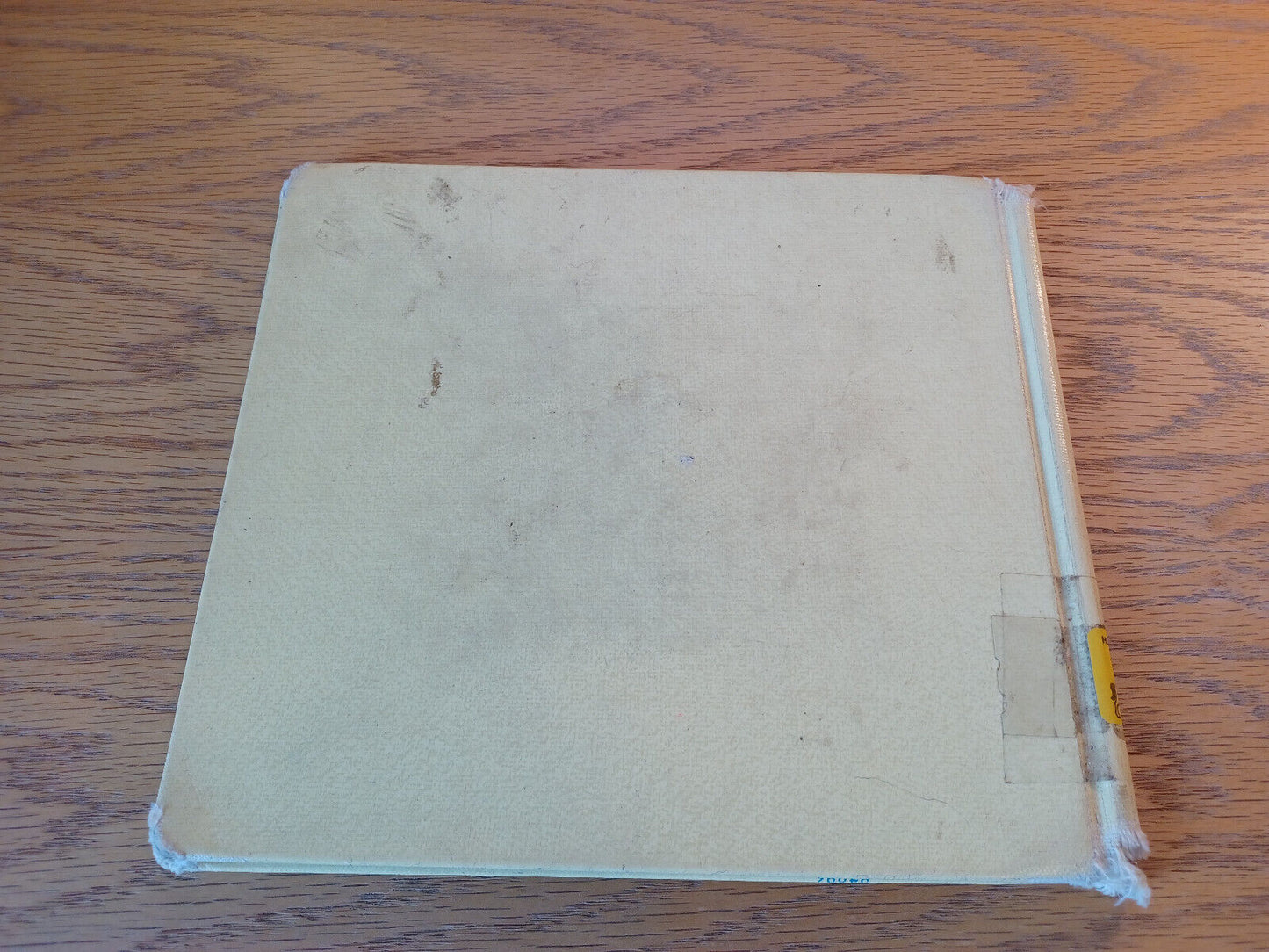 Image #6
