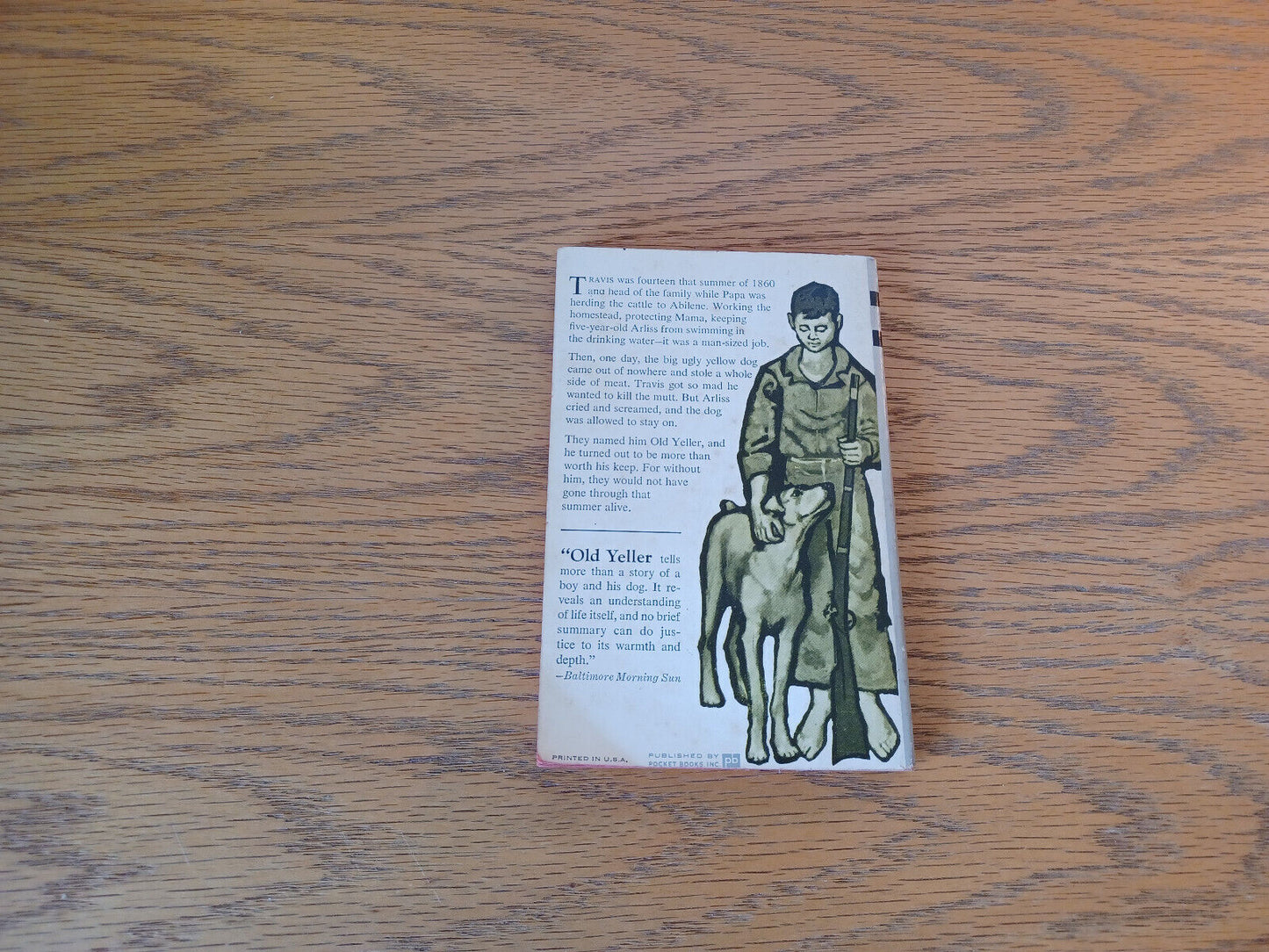 Image #6