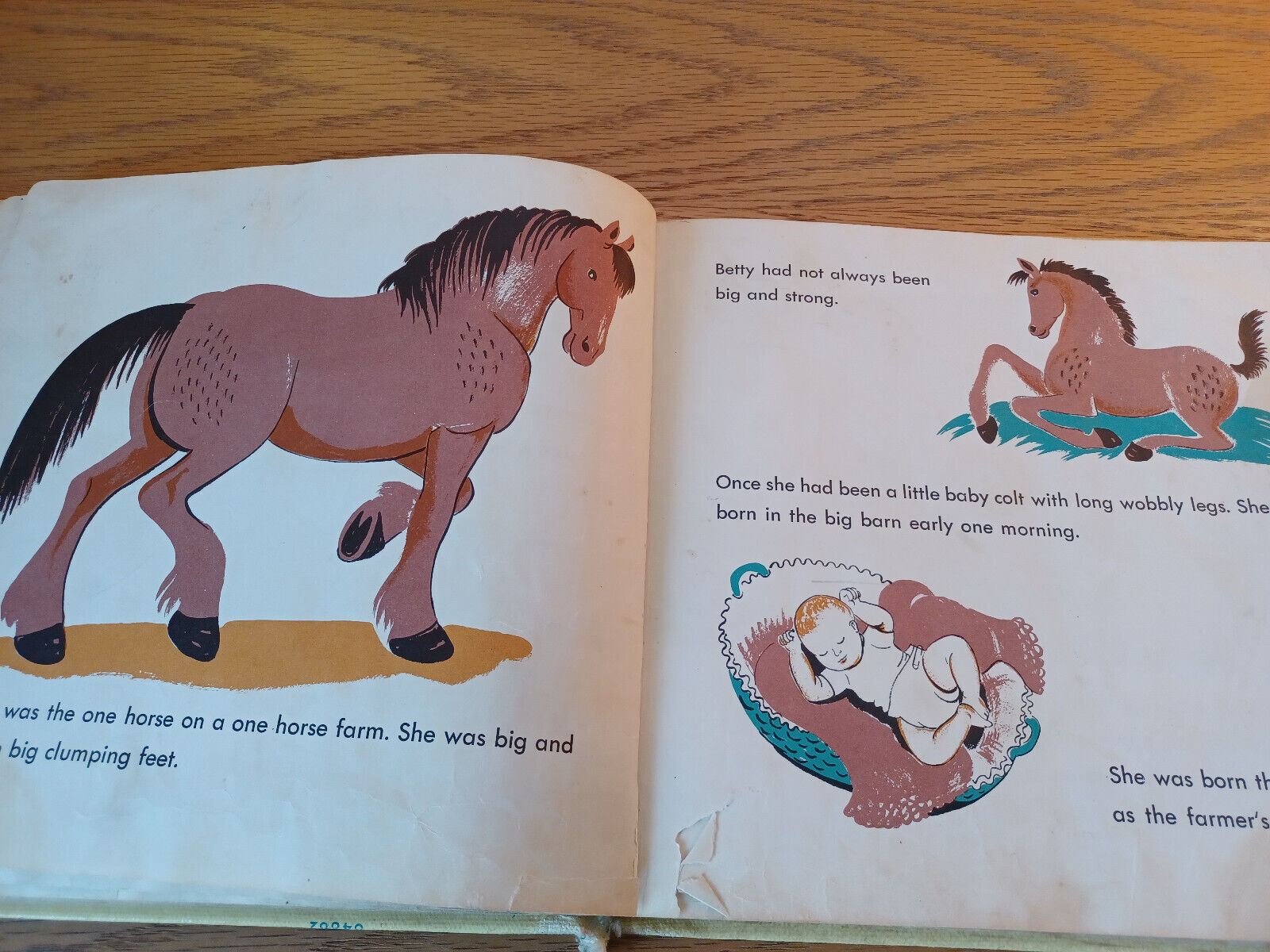 Image #8