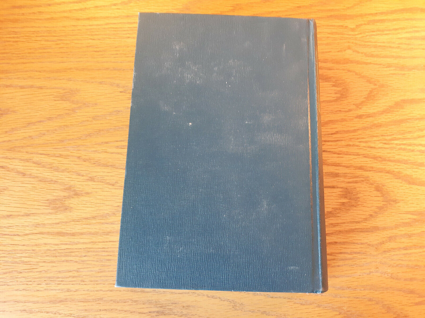 Image #6