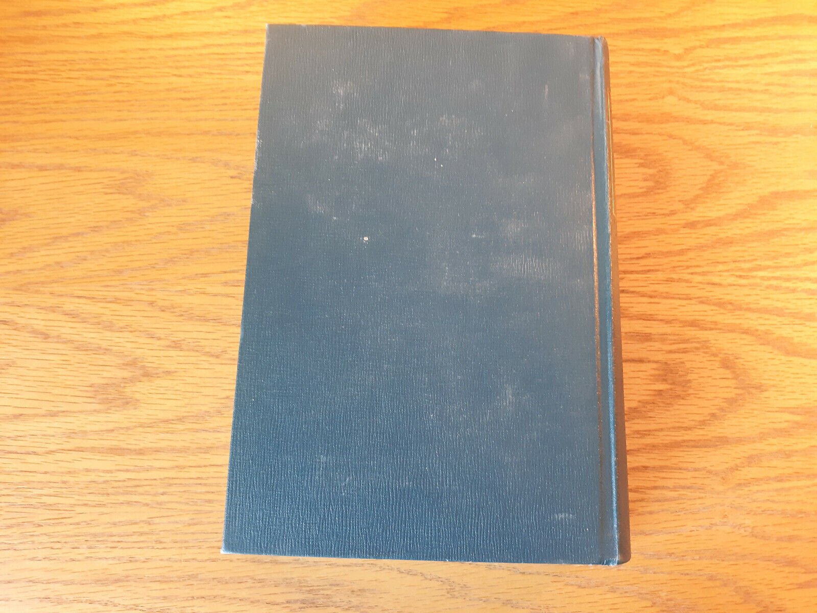 Image #6
