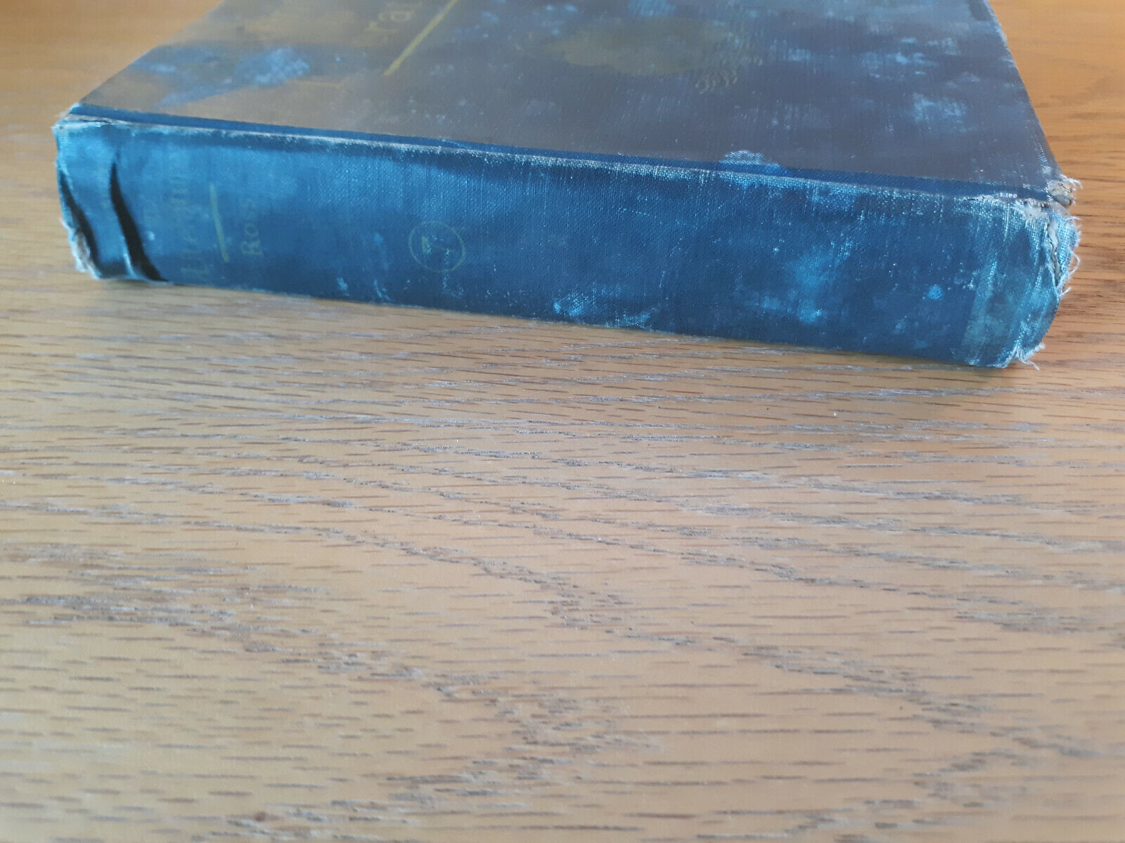 Image #5