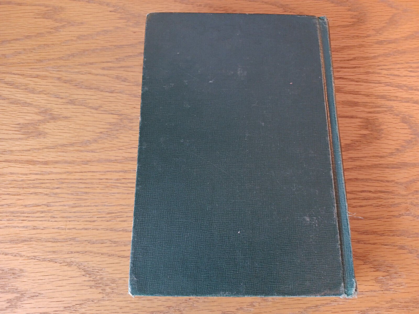 Image #6