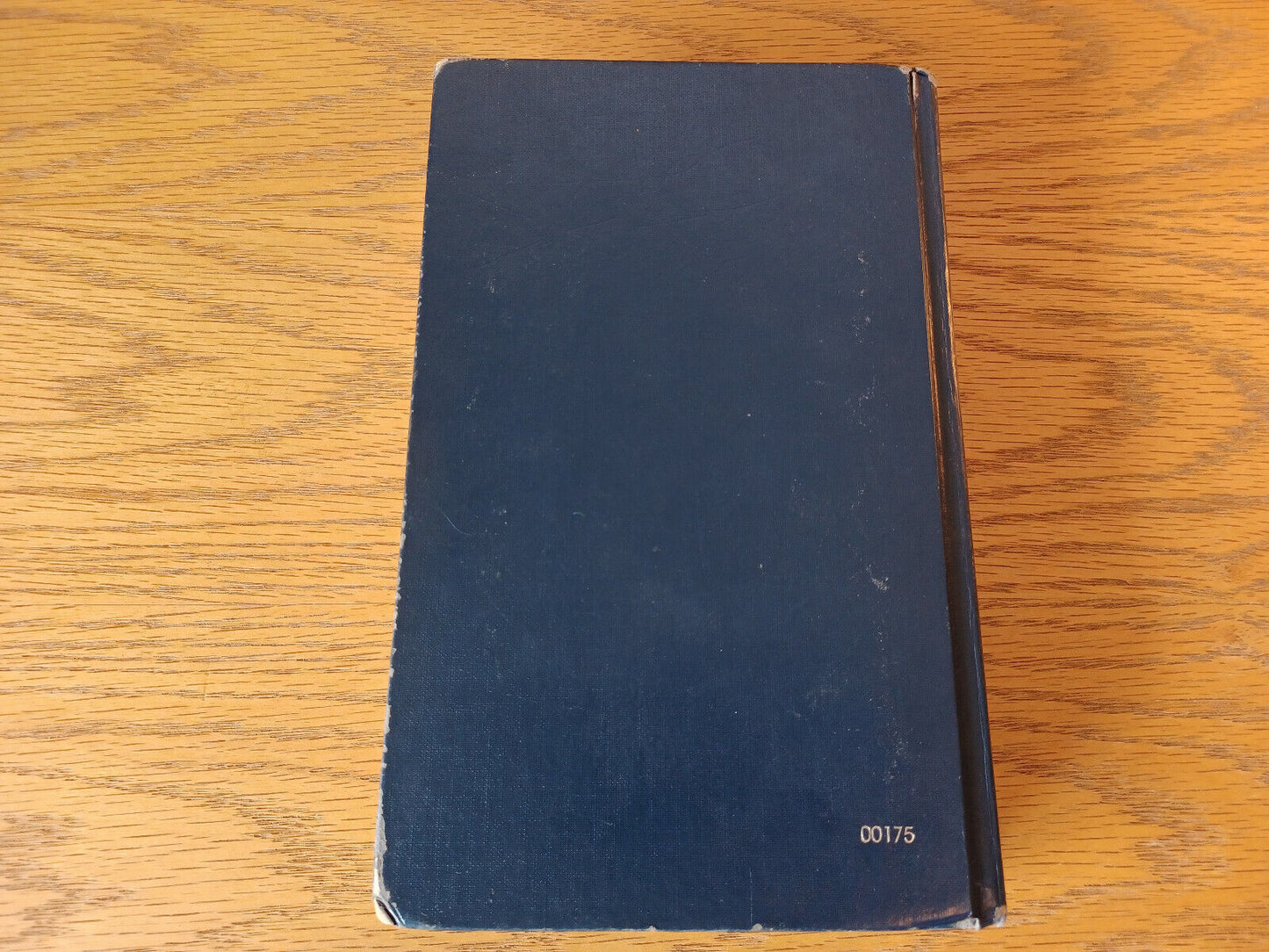 Image #6