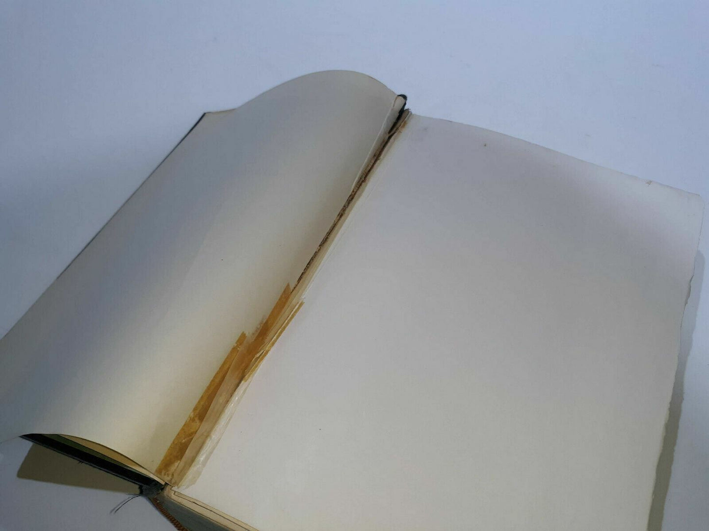 Image #9