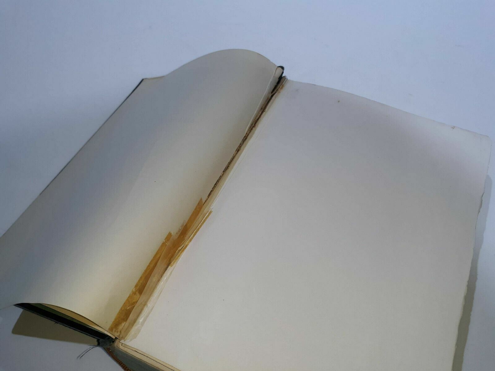 Image #9