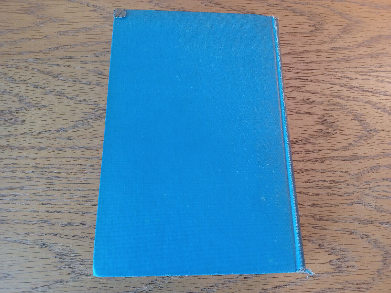 Image #6