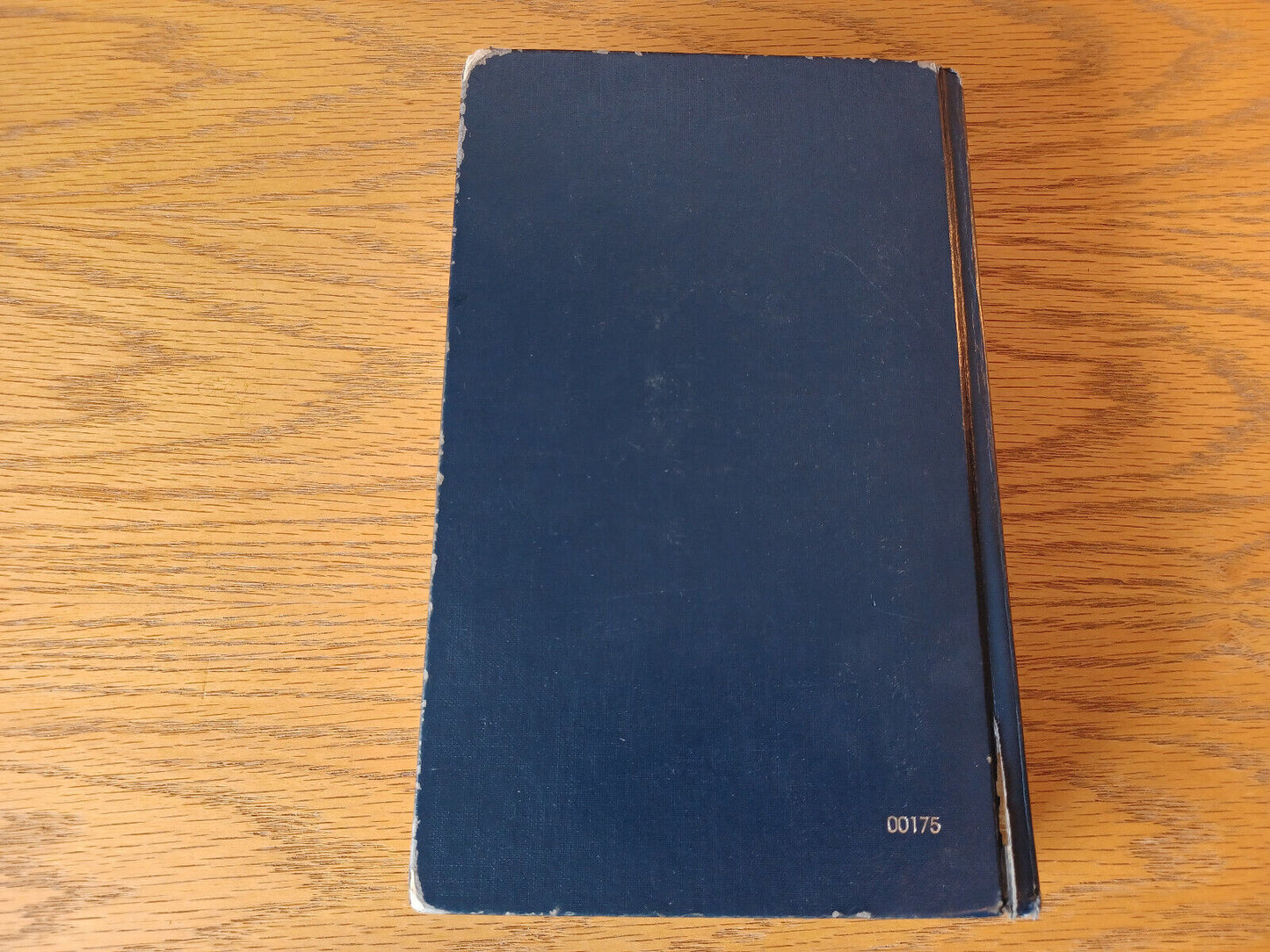 Image #6